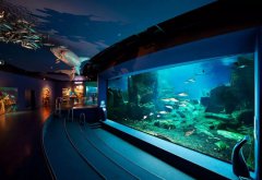 水族館的建設(shè)過程中需要考慮哪些因素？需要哪些設(shè)備呢？